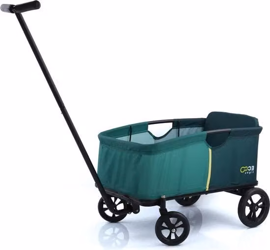Carrello Eco Illuminato Stabile con Sedile per 1 Bambino Inclinabile - Sostenibile fino a 50 kg - Verde Grande Carrello Portatile