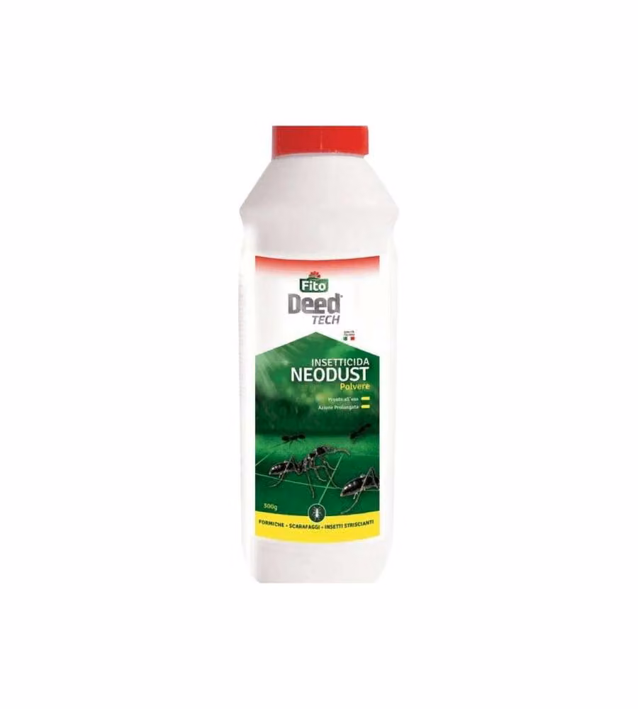 Dt Insetticida Polvere 300 G