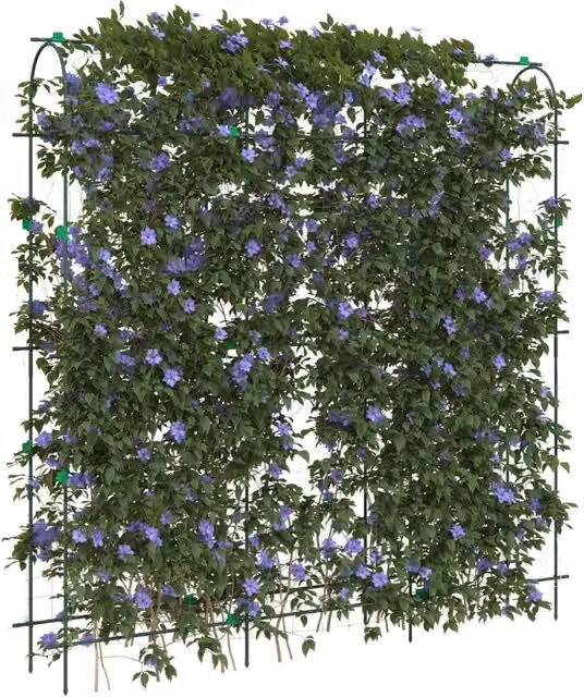 Tralicci Giardino per Piante Rampicanti 4pz Telaio a U Acciaio 3281506