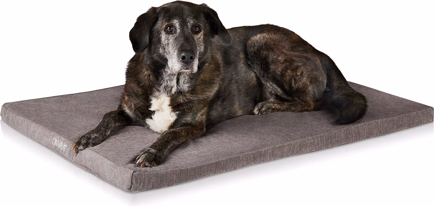 Cuccia ortopedica ONVAYA® | misura M 73x55x5cm | impermeabile, lavabile a 95 °C e super confortevole | grigio | perfetto posto letto per cani felici
