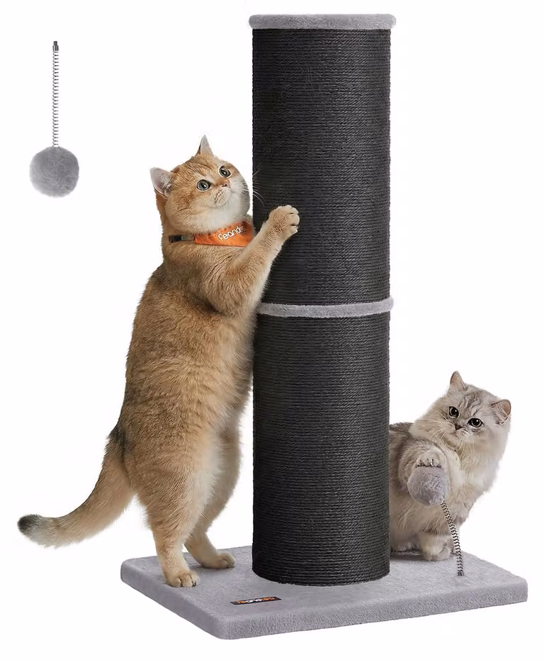 Albero per gatti Feandrea, tiragraffi XL, altezza 85 cm, palo per graffiare, diametro del palo 17 cm