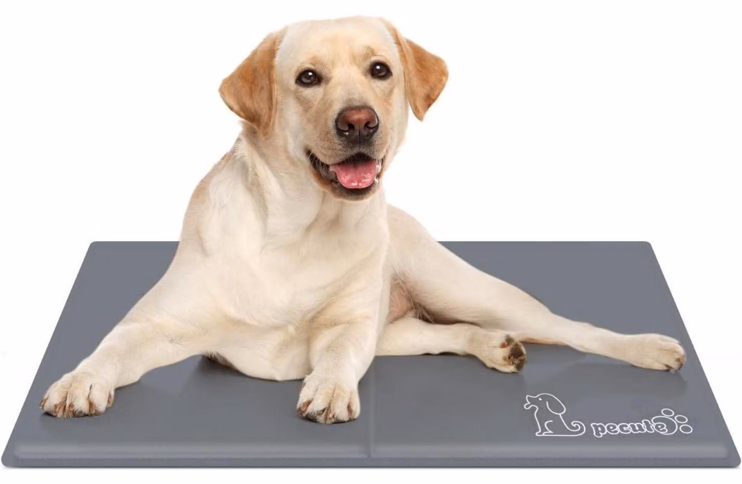 Tappetino refrigerante per cani e gatti | Dimensioni: 65 x 50 cm | Colore: Grigio | Resistente e antigraffio