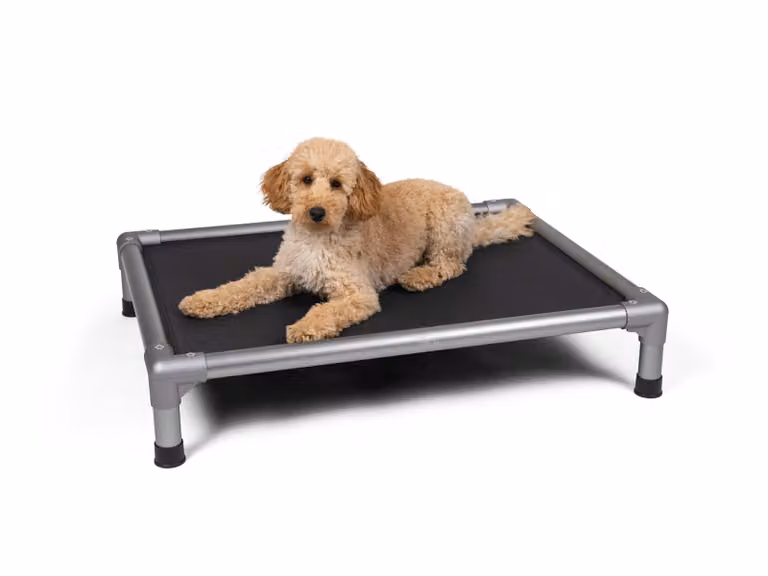 TrendPet HighBed letto alto per cani grigio (90x70x18cm)