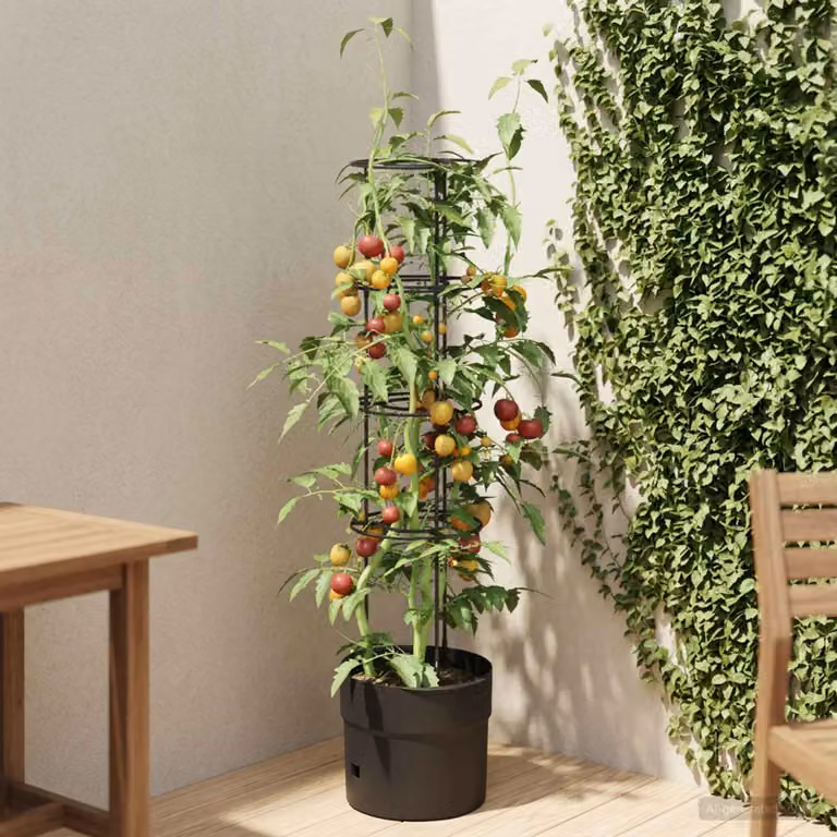 Coltivatore di pomodori vidaXL Nero in plastica Ø 32 x H 127 cm
