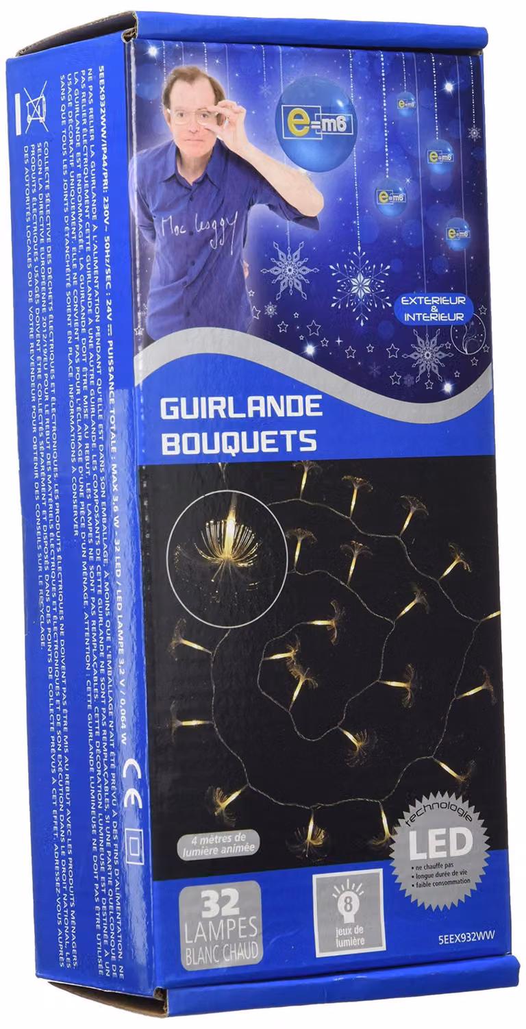 Catena luminosa con composizione floreale, 32 LED, 8 funzioni, plastica, bianca