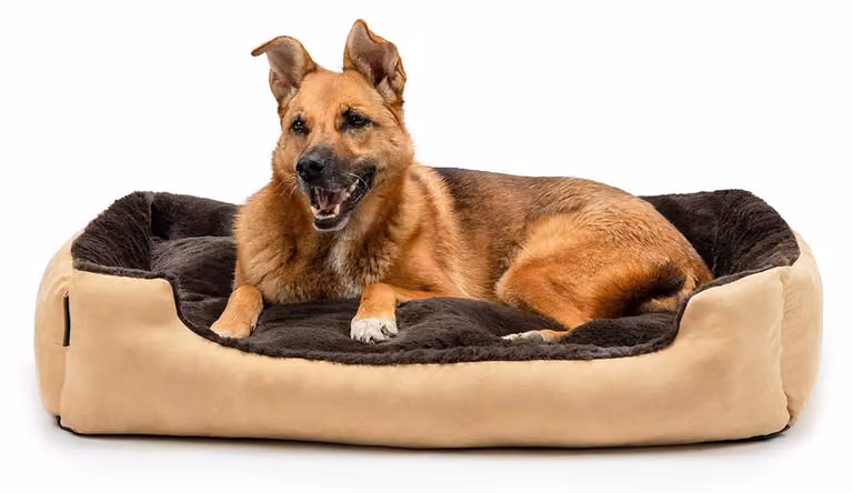 Cuccia per cani, 90x70 cm, beige e marrone, con base antiscivolo, cuscino reversibile, per uso domestico