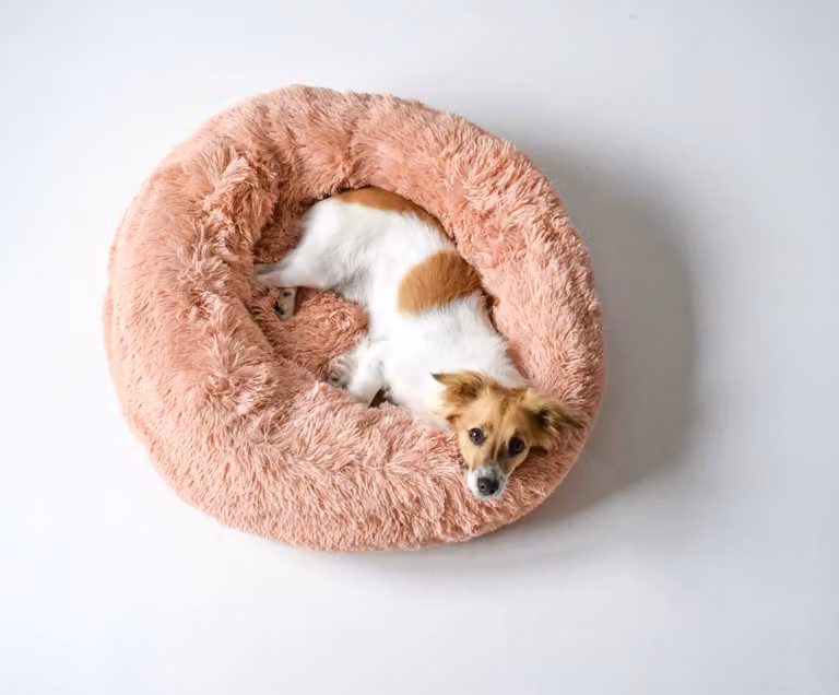 Lenzuolo per letto italiano, cuccia per cani Dreams, rosa, 60x60x26 cm