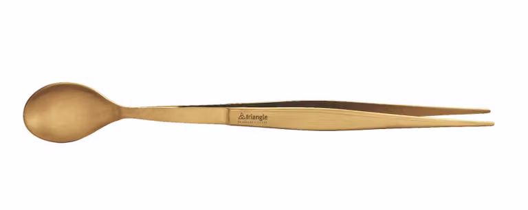 Pinza e cucchiaio da assaggio Dorata, acciaio inox 17cm Ambrogio Sanelli