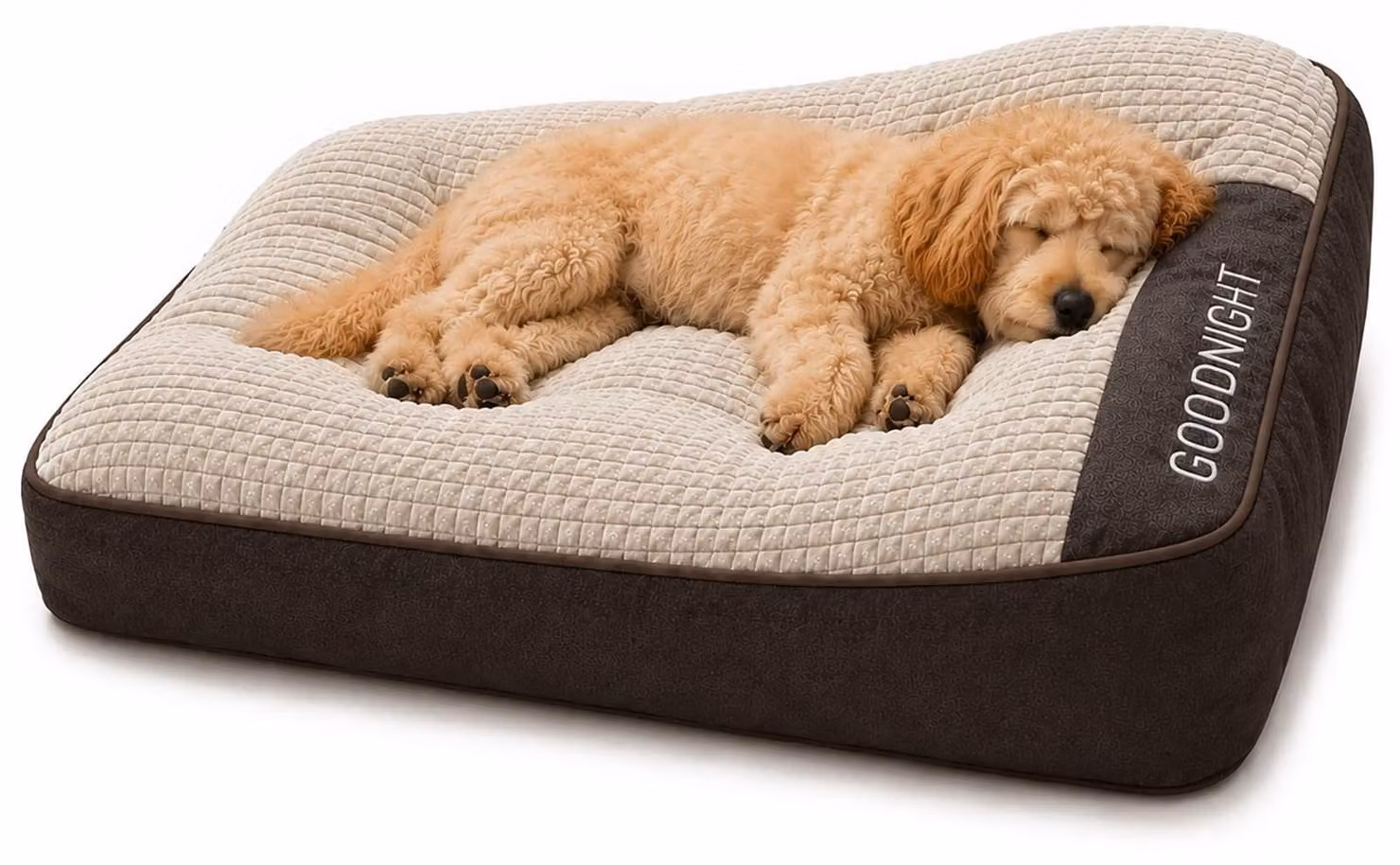 Solidchoice: Cuccia antiscivolo per cani di taglia media e piccola