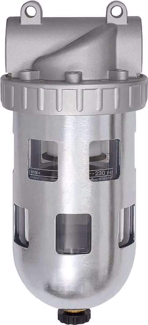 Filtro Riegler "Standard", contenitore PC, gabbia di protezione, 40 µm, BG 4, G 1 1/4