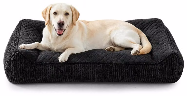 Cuccia ortopedica per cani di grossa taglia, lavabile, con rivestimento removibile, antiscivolo, con bordo rialzato, in pile con motivo a fiocchi di neve, dimensioni 97x71x22 cm, colore nero