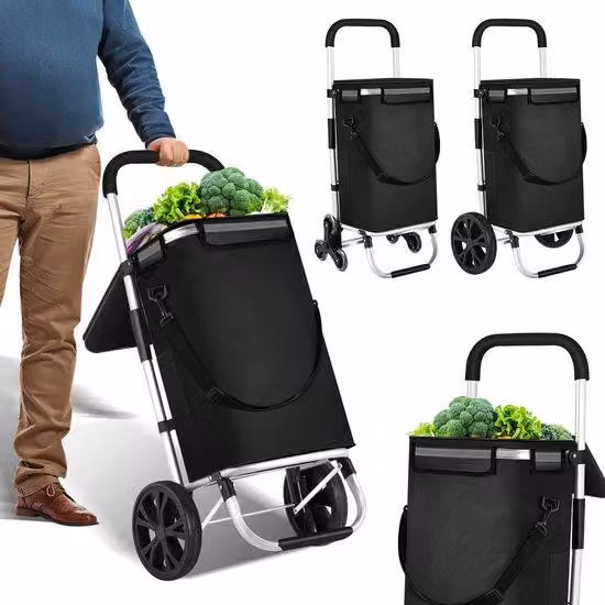 Carrello pieghevole a due ruote con frigorifero, pieghevole, leggero e dotato di scomparti aggiuntivi