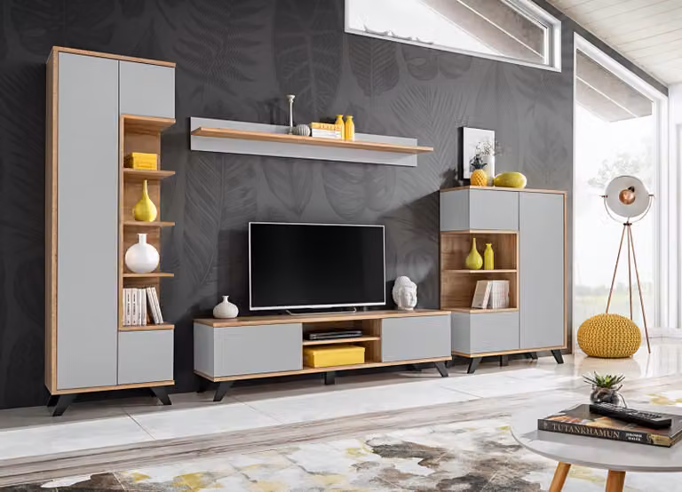 Wohnwände Garnitur 4 tlg Luxus Wohnzimmer Set TV-Ständer Bücherregal Möbel