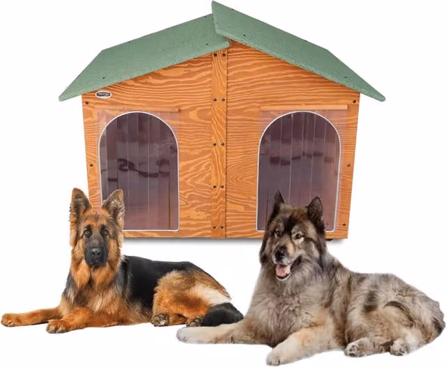 Cuccia gigante per cani in legno di pino da esterno modello 4XL con due ingressi e separè, L: 150 cm, P: 125 cm, H: 115 cm