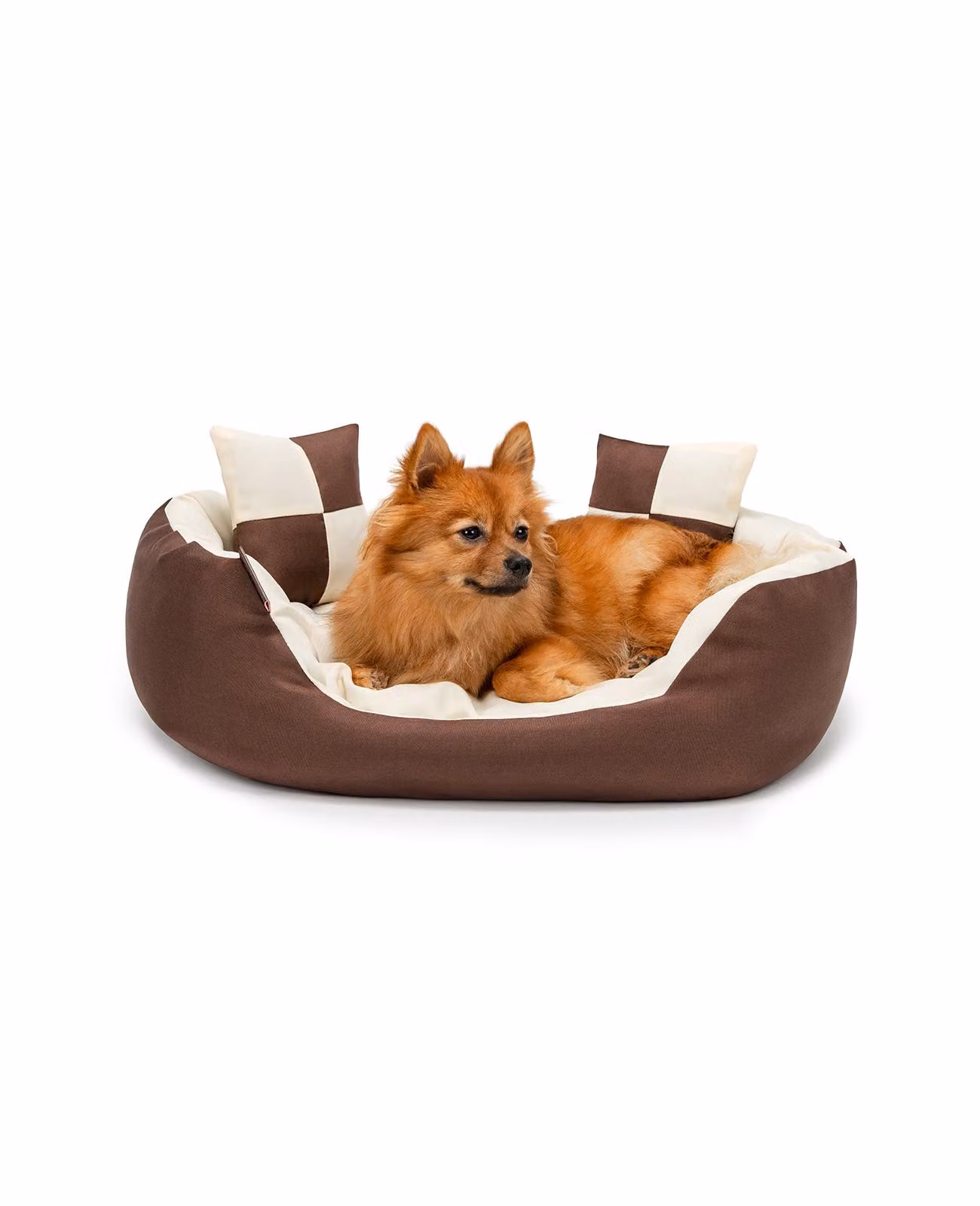 cuccia per cani lionto, elegante cesto per cani 4 in 1, idrorepellente, antigraffio e di facile manutenzione, 65x50 cm, marrone/beige