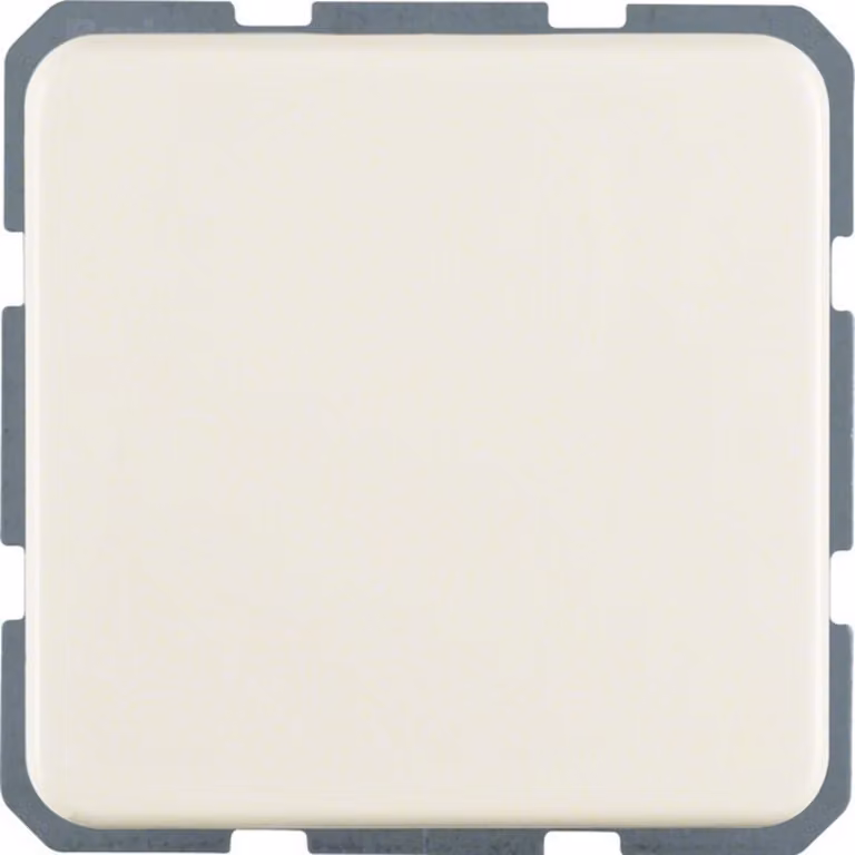 Presa di corrente Berker con clip a innesto 4715
