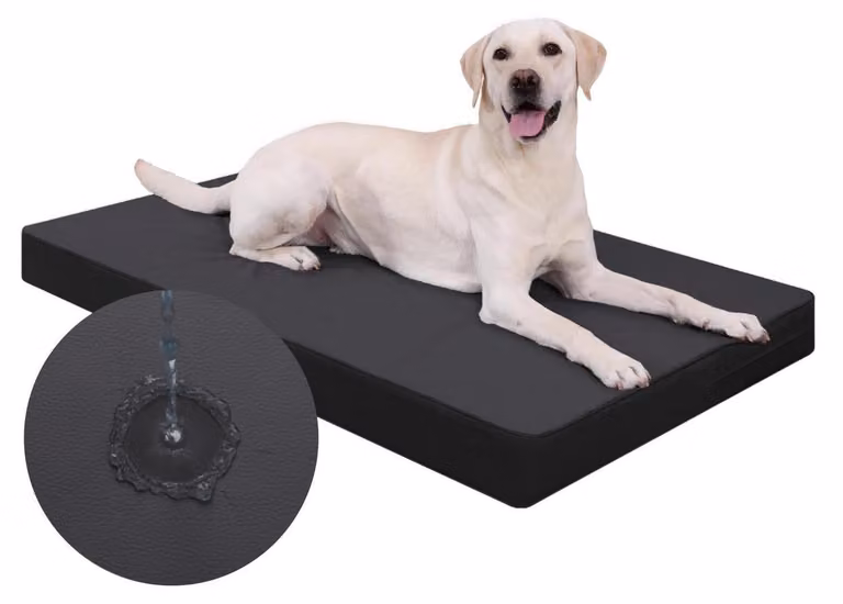 Cuccia ortopedica per cani, dimensioni L, 104x68x8 cm, colore nero, impermeabile, aspetto in pelle