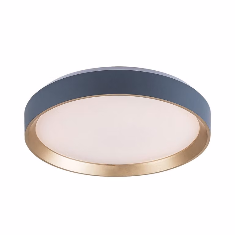 Rabalux 71185 Lampade da soffitto Liatris2 LED 24 in metallo e plastica, grigio