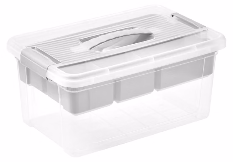 Contenitore organizzativo, 9 litri, con maniglia ergonomica, clip pratiche, inserto estraibile, dimensioni 23 x 35 x 17 cm, colore grigio