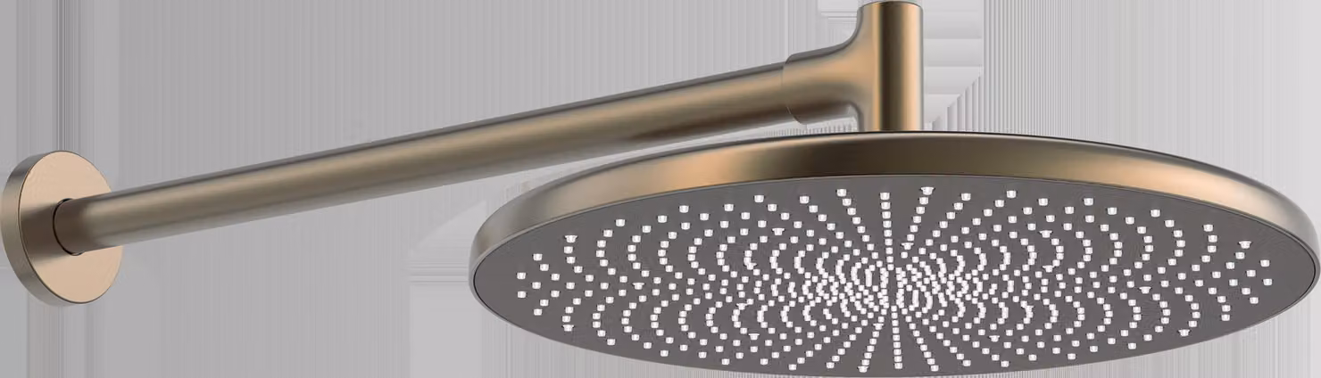 Douche de tête HANSA HANSAAURELIA, diamètre 300mm, 1 jet, montage mural, 4726030081, 4726030081