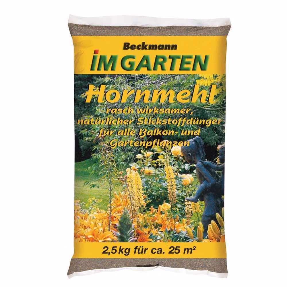 BIG Polvere di corna 2,5 kg
