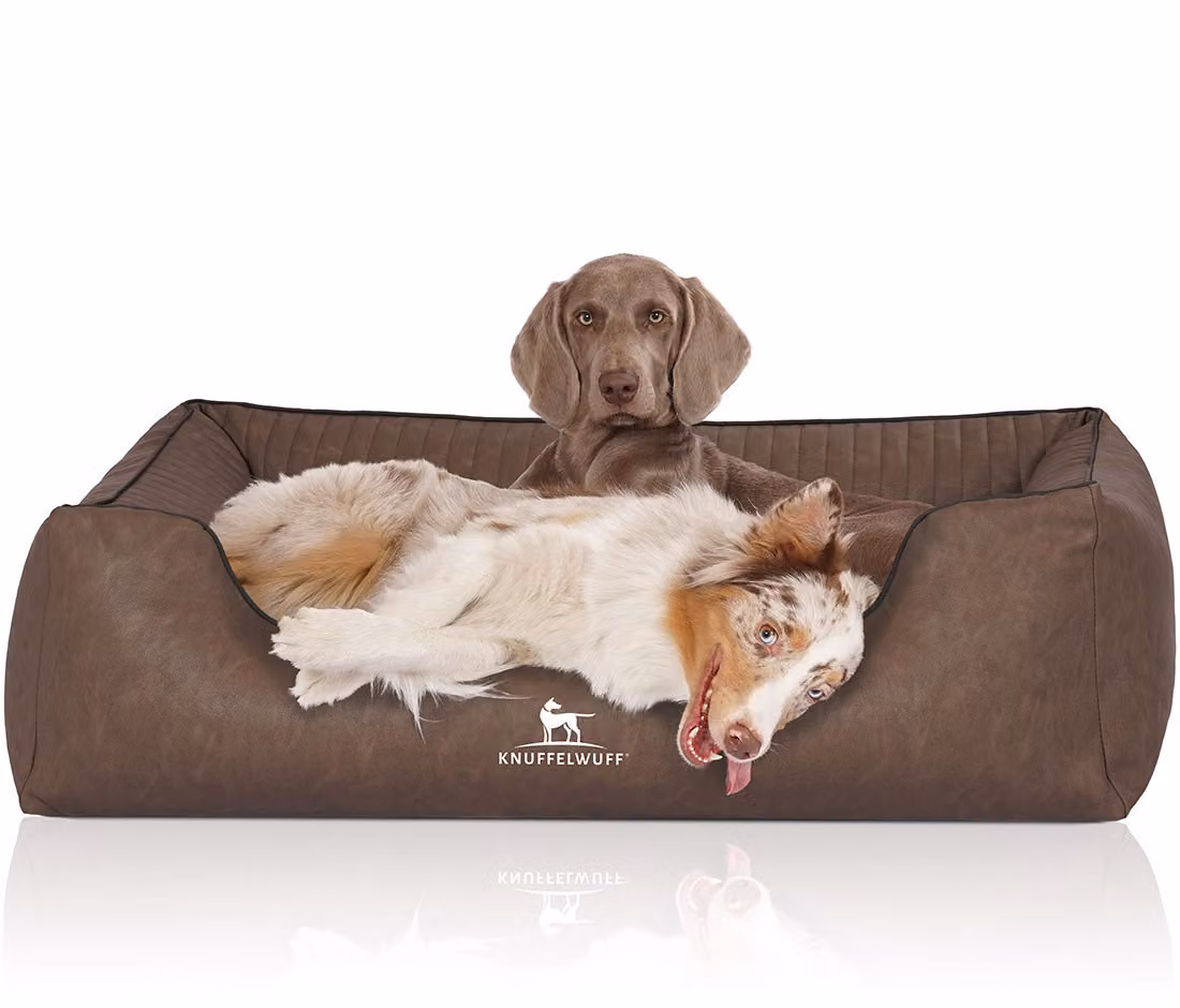Letto ortopedico per cani Chesapeake in Pelle finta marmorizzata trapuntata al laser, XL, marrone