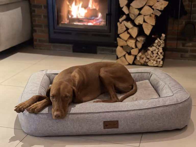 Letto ortopedico per cani Petlando Lima L stone