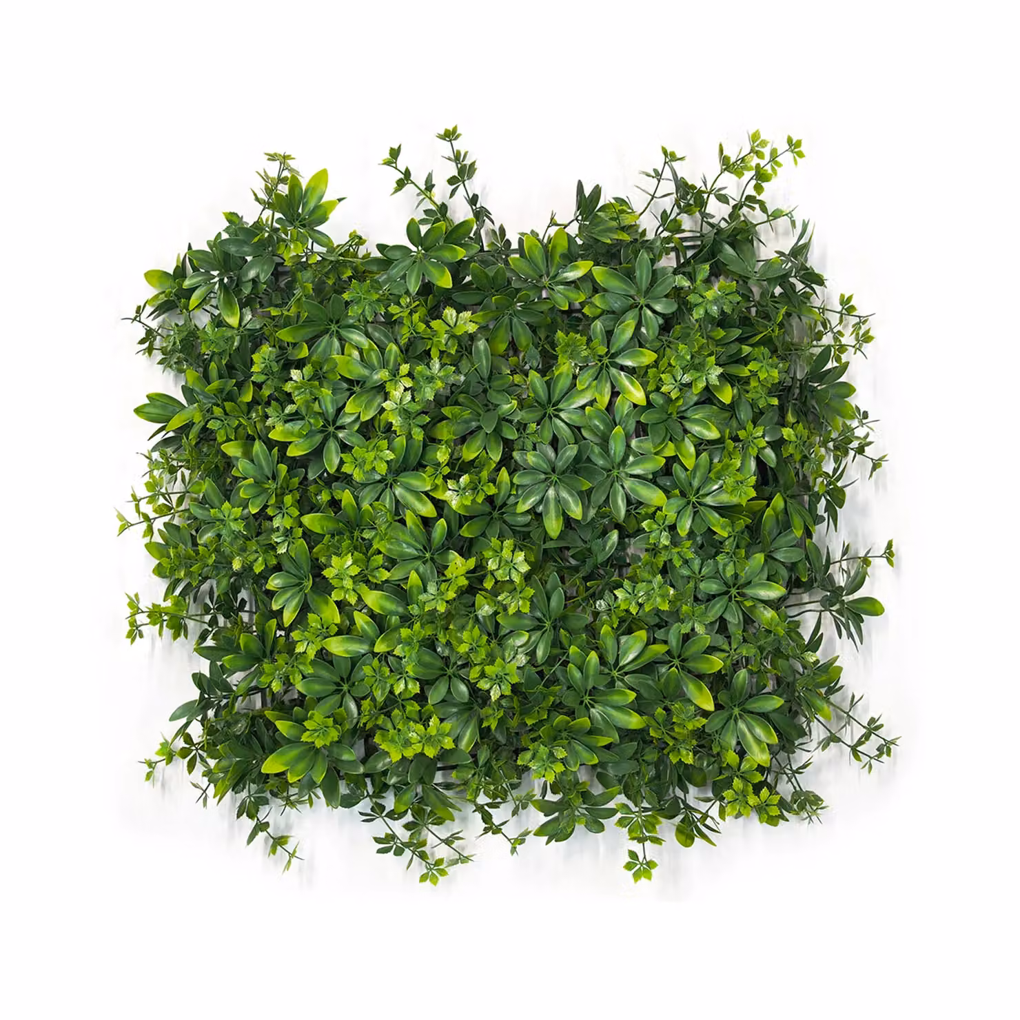 Siepe sintetica a pannelli per giardino verticale VESTIAMO CASA GIARDINO, colore verde, L: 50 cm x H: 50 cm – 1