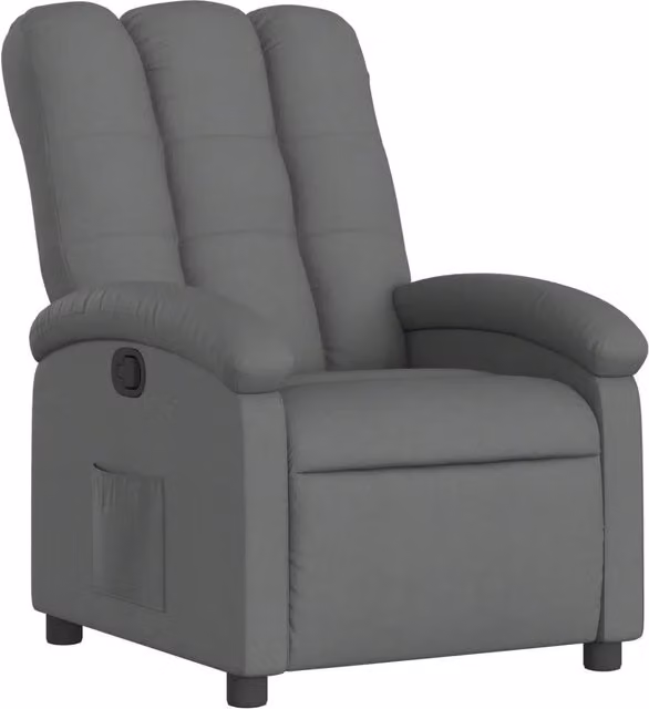 Poltrona relax reclinabile moderna in tessuto grigio con braccioli e struttura in legno e metallo – 1