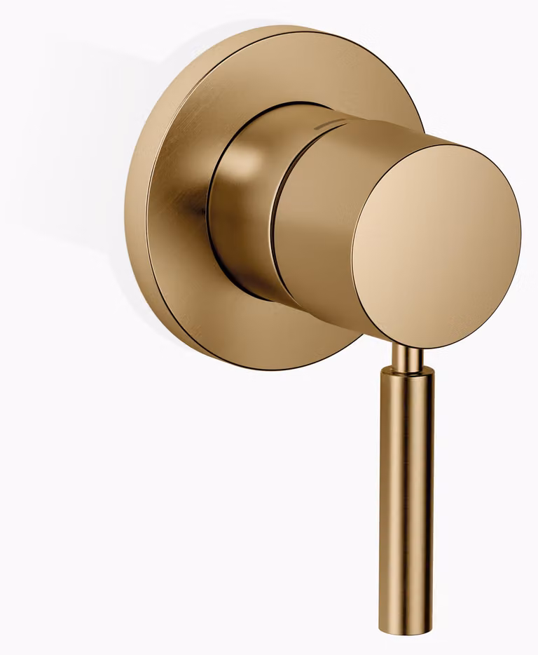 Dornbracht mitigeur monocommandé encastré avec plaques de recouvrement 78mm, 36060660-39, 36060660-39