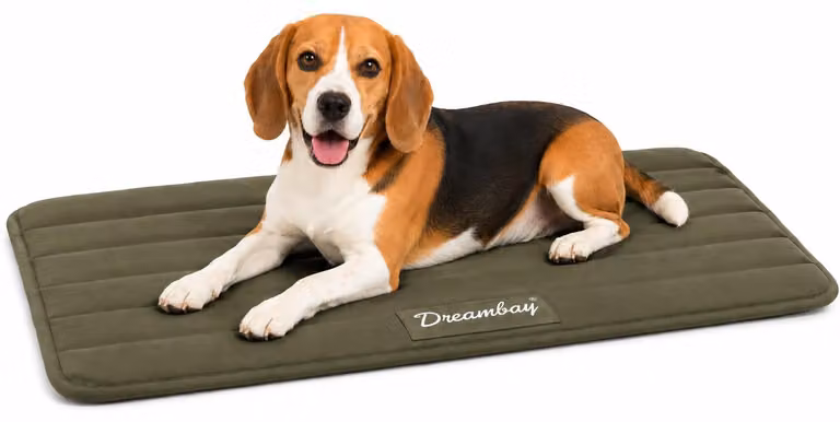 Cuccia per cani Flamingo - lettino ortopedico per gatti Dreambay® color verde oliva - ortopedico