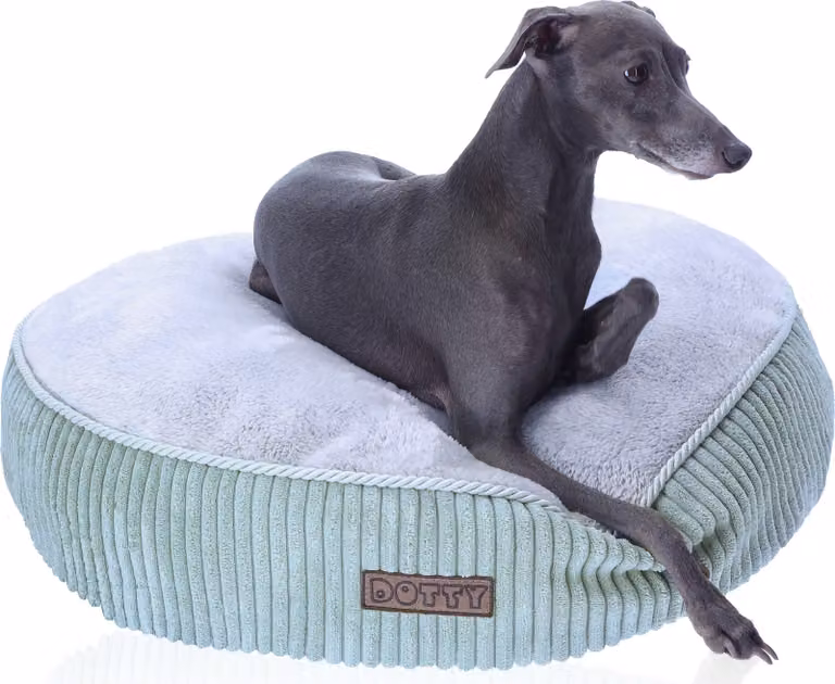 Accogliente letto in peluche Letto per cani Letto per gatti DOTTY - morbido cuscino rotondo in peluche per cani e gatti di piccola e media taglia Superficie di riposo M 60 cm