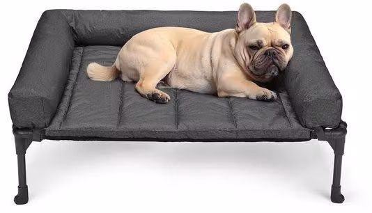 Cuccia per cani da esterno rialzata con cuscino gonfiabile rimovibile, fresca, in rete a maglie larghe in Teslin Mesh, ideale per la sistemazione degli animali domestici e per il giardino, nera, 81 x 64 x 18 cm.