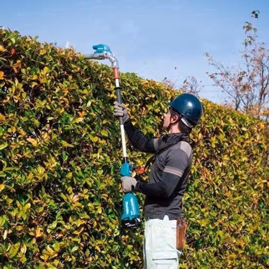 Potatore elettrico da giardino con asta telescopica da 50 cm, batteria agli ioni di litio da 18V