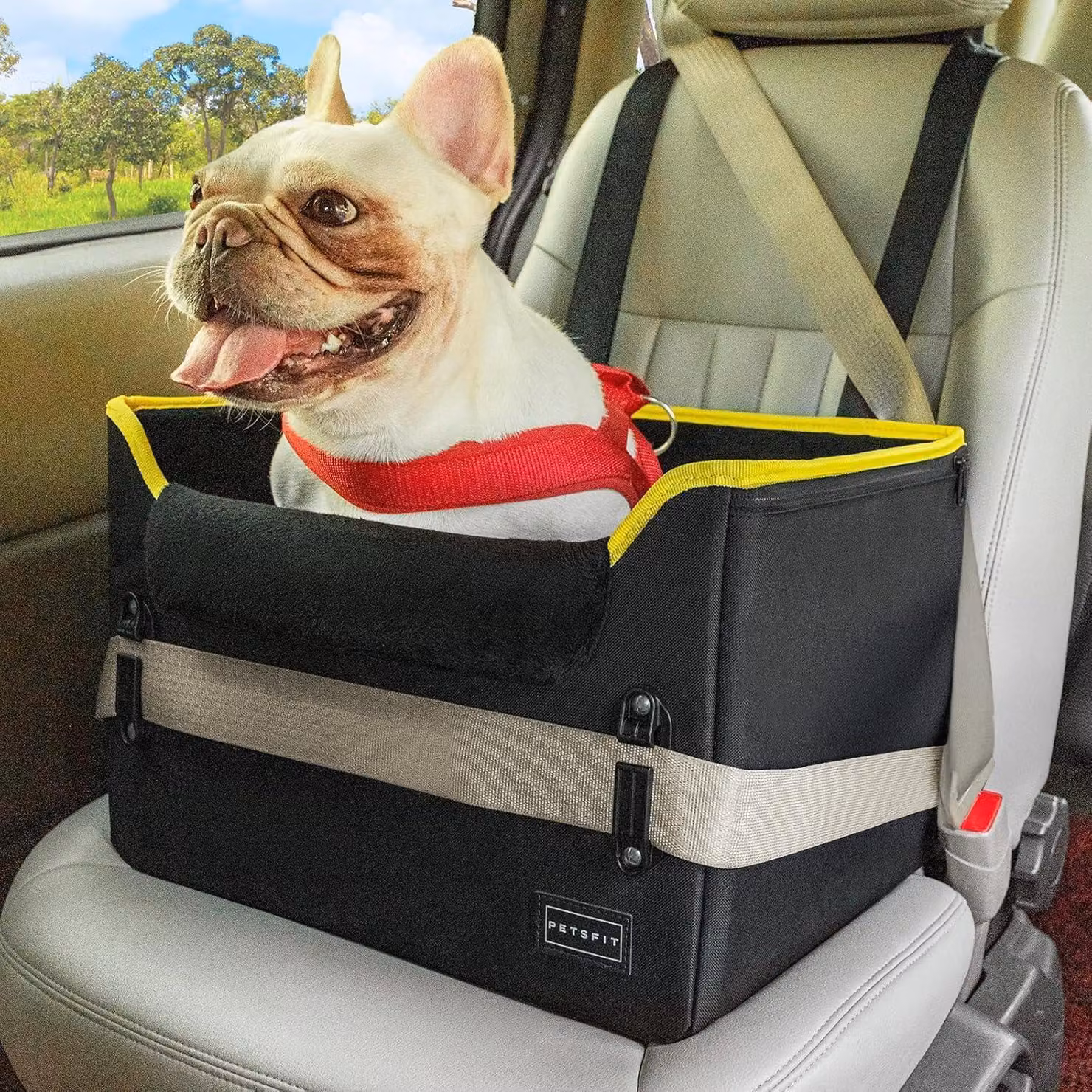 Seggiolino per cani, adatto a cani di piccola taglia, 2-in-1 (cuccia e seggiolino auto), colore nero, taglia S