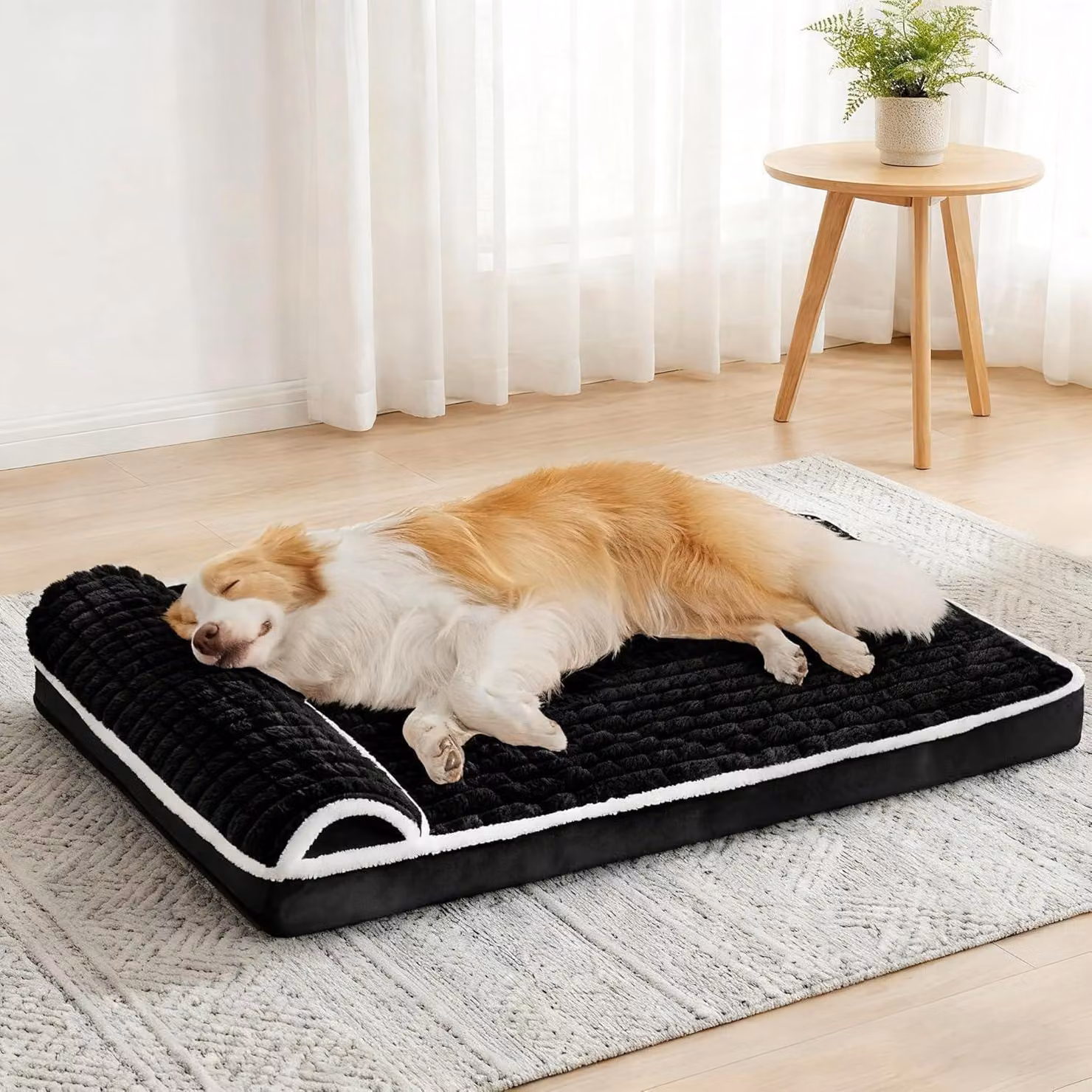 Cuccia ortopedica per cani con cuscino, 76x51 cm, colore nero, spessore 9 cm