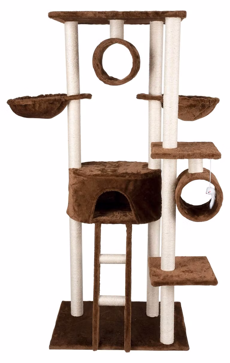 Albero per gatti con superficie per grattare - 165 cm
