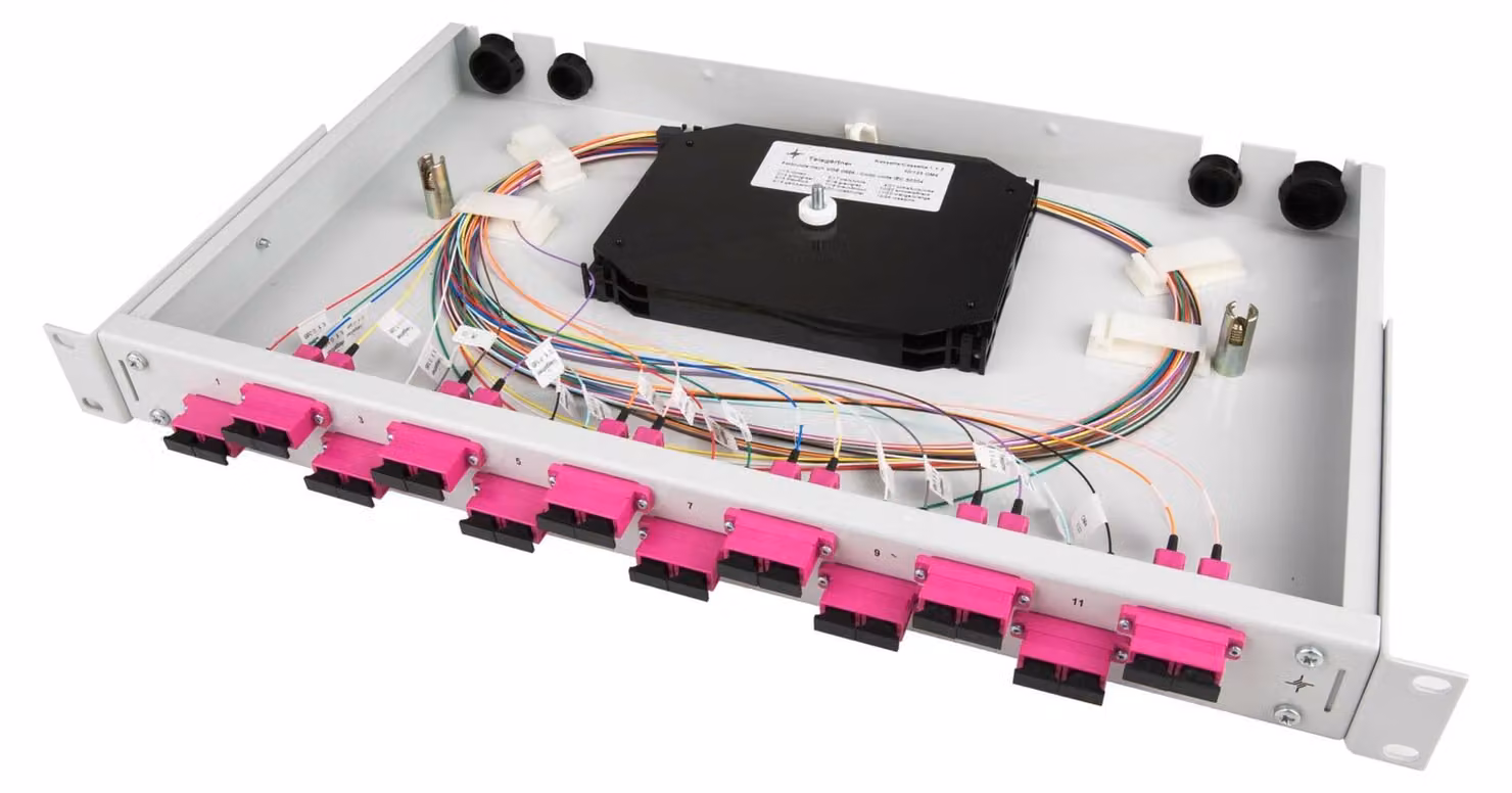 Scatola di giunzione Telegärtner equipaggiata con 12xSCD 50/125OM4 1U TNSB-Be-12SCD-50-OM4