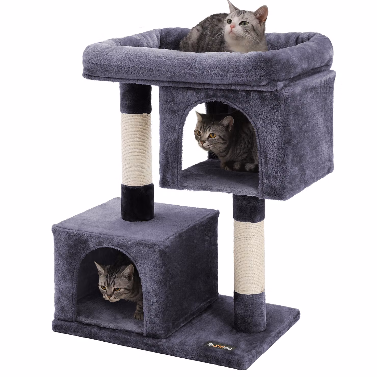FEANDREA Albero per gatti, colore grigio scuro, altezza 84 cm, con piattaforma, casetta da gioco, 2 rifugi in peluche e struttura per arrampicata, modello PCT61G