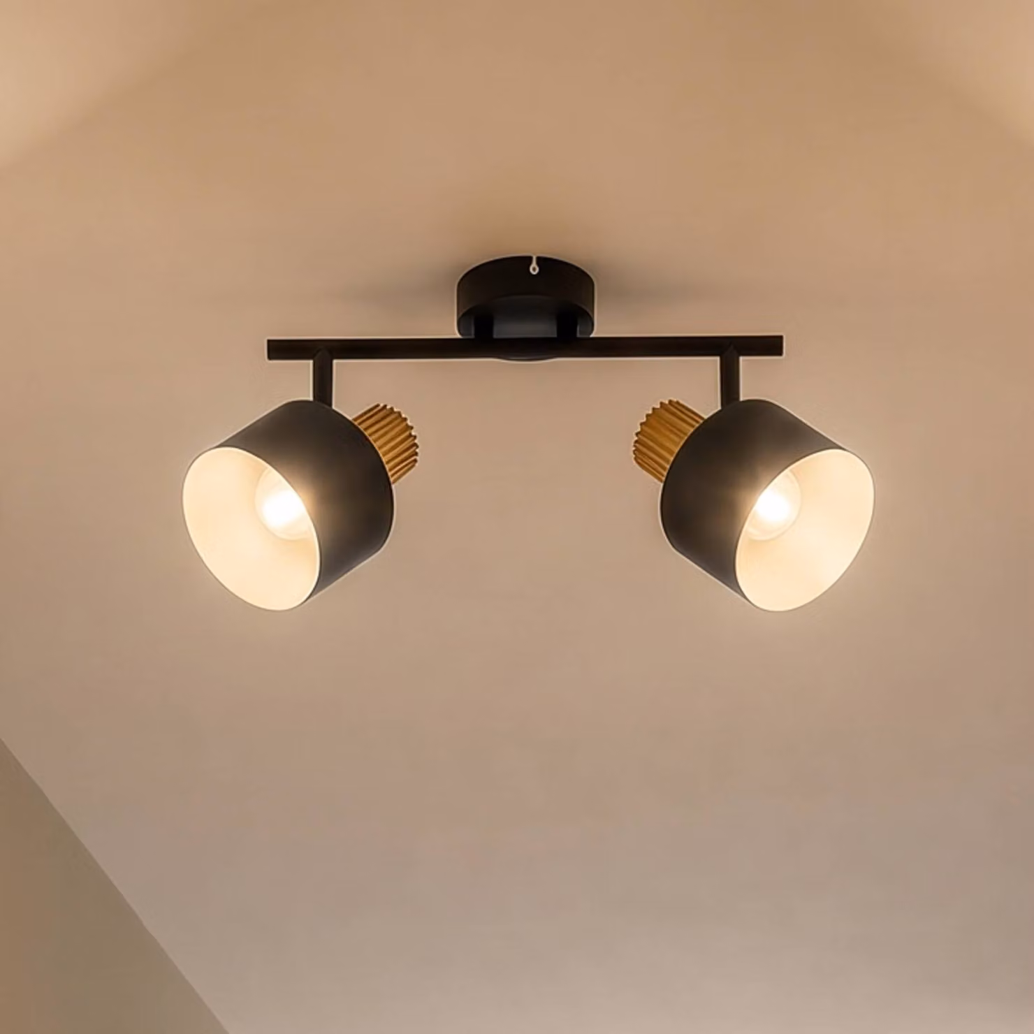 Faretto da soffitto Lindby Lenja, a 2 luci, nero, E14, metallo Lenja Lindby, dimmerabile, Nero, Soggiorno / Sala da pranzo, Metallo, Moderno, Faretto