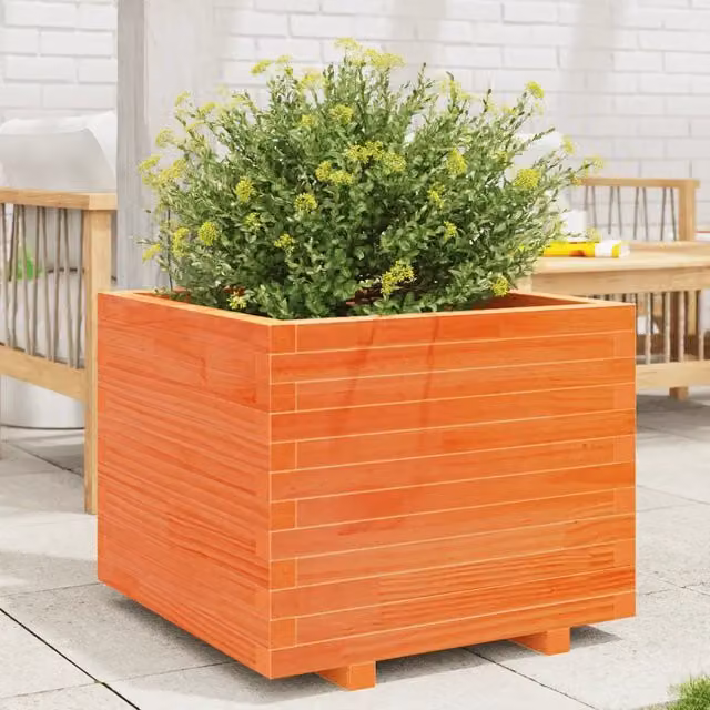 Fioriera da giardino Videx in legno massello marrone L: 60 cm, P: 60 cm, H: 49,5 cm