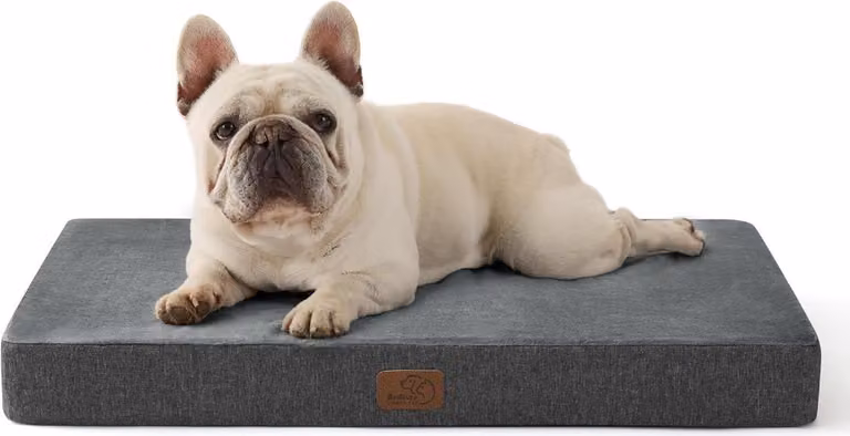 Cuscino ortopedico di alta qualità per cani di taglia media 74x46x8cm letto per cani lavabile con materassino 2 in 1 in memory foam per cani grigio scuro