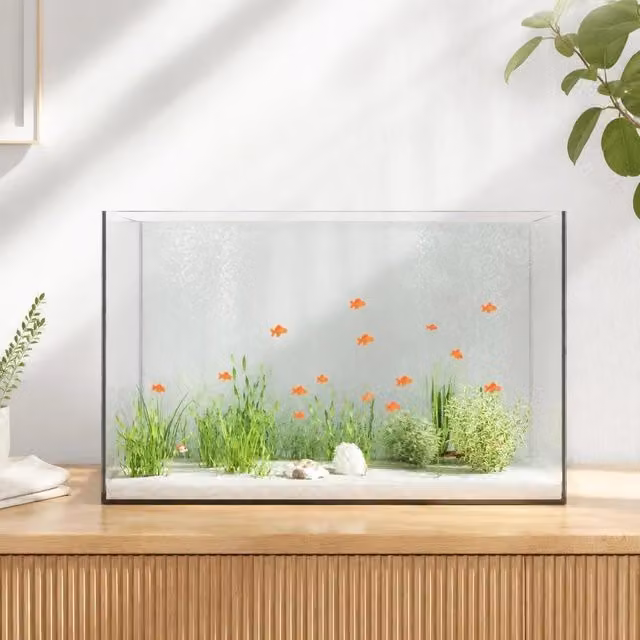 Acquario Con Archiviazione Trasparente 60 X 35 X 40 Cm Vetro