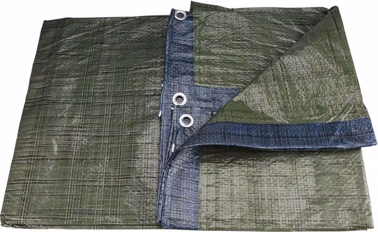 Teloni EXTOL CRAFT 8x10m, 55 g / m_