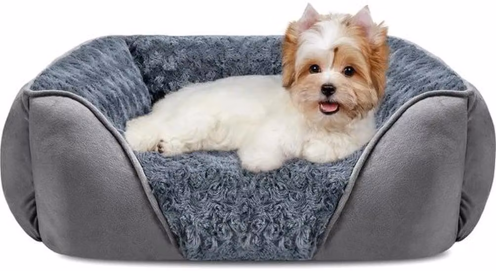 Azomor®: tappetino per animali domestici morbido come il velluto e lavabile, per cani di piccola taglia e gatti fino a 9 kg