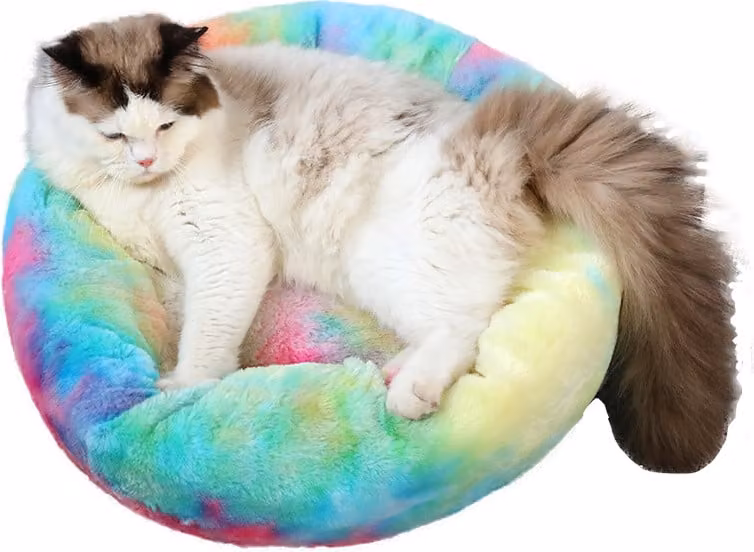 Cuccia per cani Jenny arcobaleno scuro 2XL