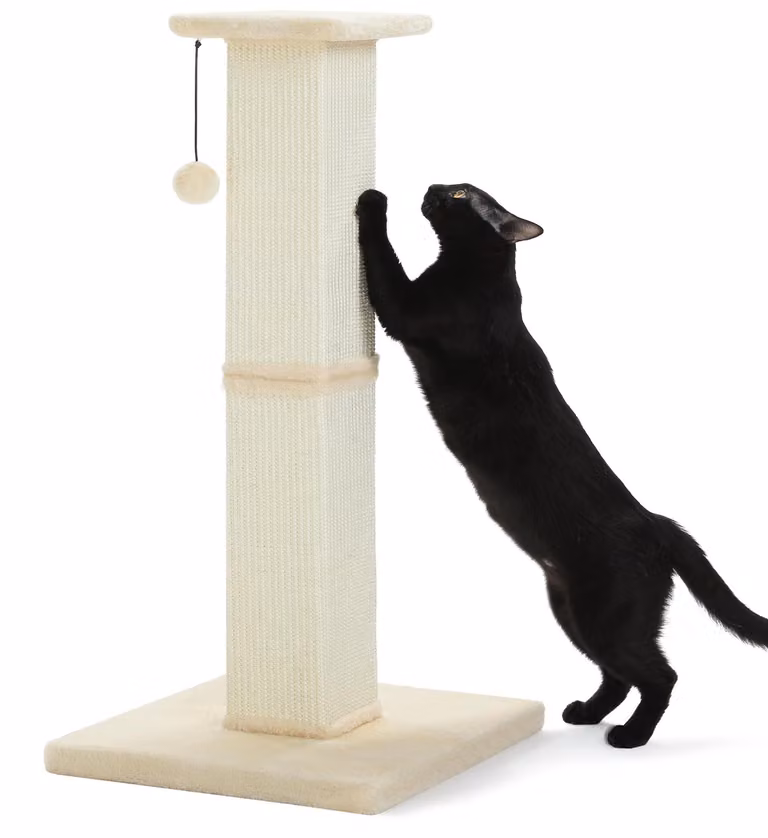 Albero per gatti Kratzbaum, altezza 82 cm, rivestito in sisal, base ampia, con pallina giocattolo, colore beige, adatto per gatti domestici