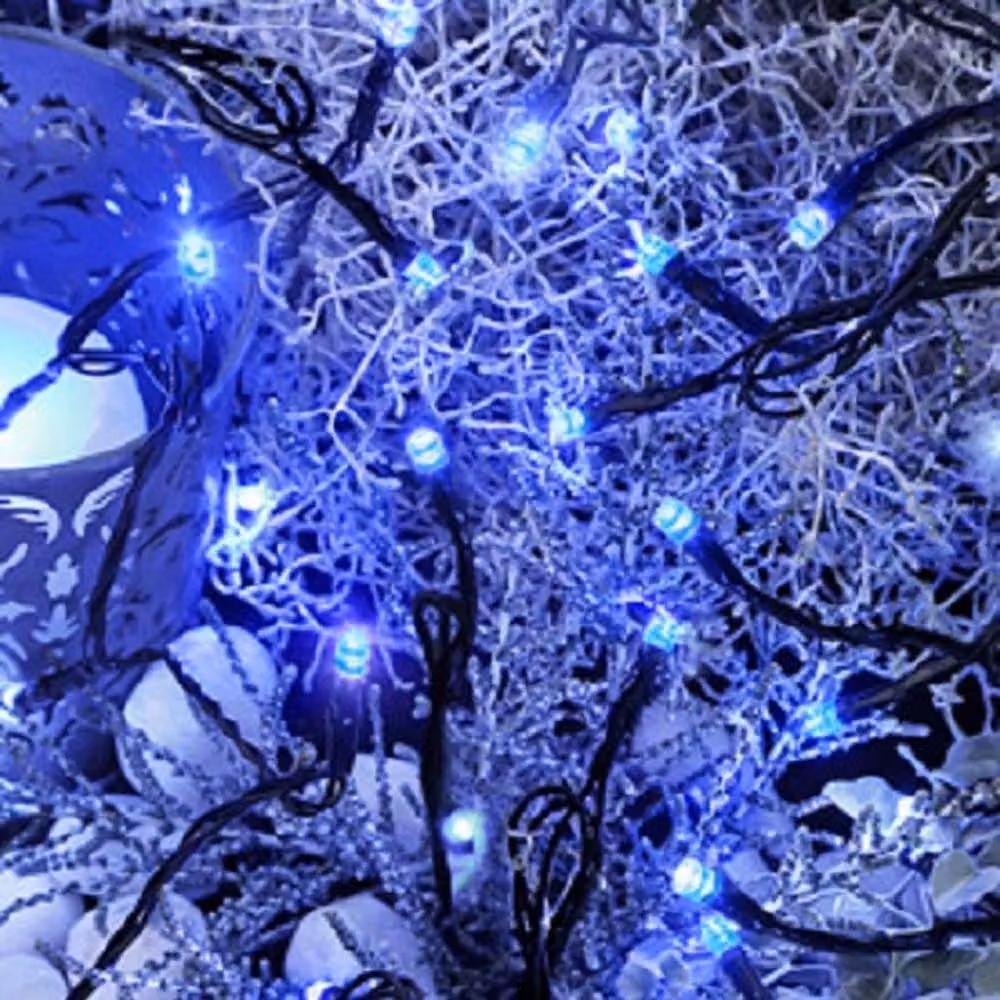 Best Season Luci a LED, 40 pz. Colore blu, per esterni, con trasformatore, cavo: nero, 498-19