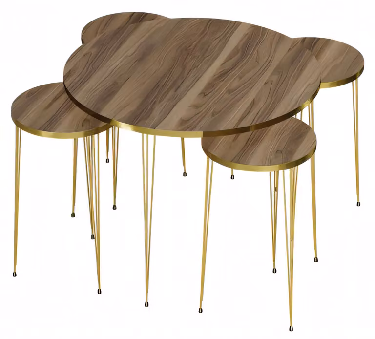 Moderner brauner Holz-Couchtisch mit Beistelltischen, stilvolles