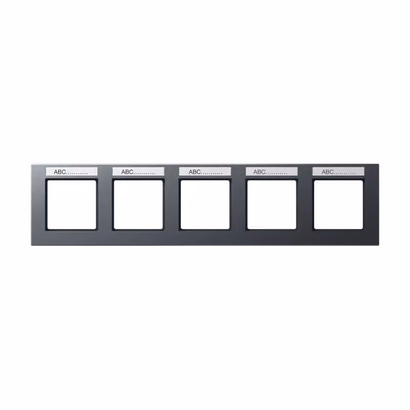Jung AC5850BFNAANM Cornice con campo di scrittura 9 x 55 mm